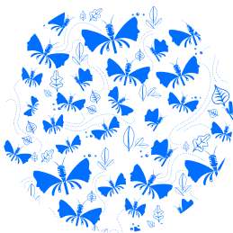 Butterfly pattern